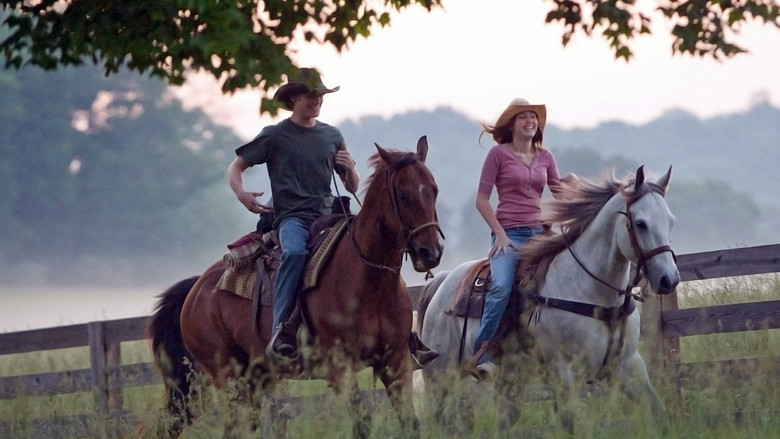 Hannah Montana: The Movie - Som Hannah Montana popularitet börjar att ta över hennes liv, Miley Stewart, på uppmaning av sin far tar en tur till hennes hemstad Crowley Corners, Tennessee för att få lite perspektiv på det som är i livet mest.