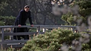 Into the Sun - Efter mordet på Tokyos guvernör av Yakuza-medlemmar, CIA byråchefen (William Atherton) för Tokyo ger ut ett anrop till en agent (Steven Seagal) som hade tagits upp i Japan och tränad av ex-Yakuza. Använda hans tidigare band, bestämmer han snabbt att ett krig är under uppsegling mellan gamla-vakt Yakuza medlemmar och en ung, galen ledare (Takao Osawa) med band till den kinesiska Tong.