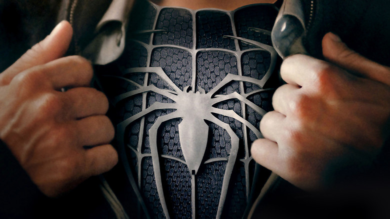 Peter Parker har äntligen lyckats att få balans i livet och mellan hans förälskelse M.J. och sitt uppdrag som superhjälte. Men Peters självförtroende har blivit lite väl stort och han börjar ignorera de människor som står honom närmast. Hans nyfunna självförtroende äventyras när han ger sig in i sitt livs strid mot två av de mest fruktade brottslingarna någonsin, Sandman och Venom, vilkas samlade krafter och längtan efter vedergällning hotar Peter och alla han älskar.